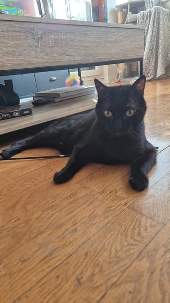 Otis
