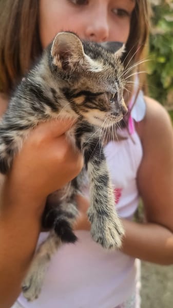 Manolo