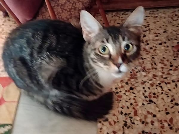 Mika