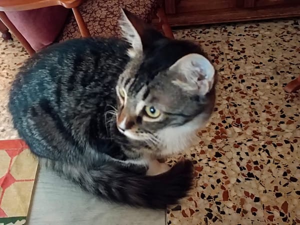 Mika
