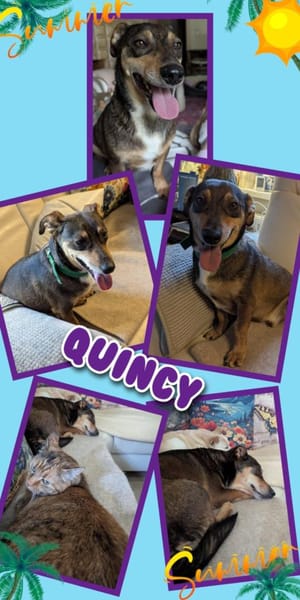 Lieber Quincy- nicht schön genug???