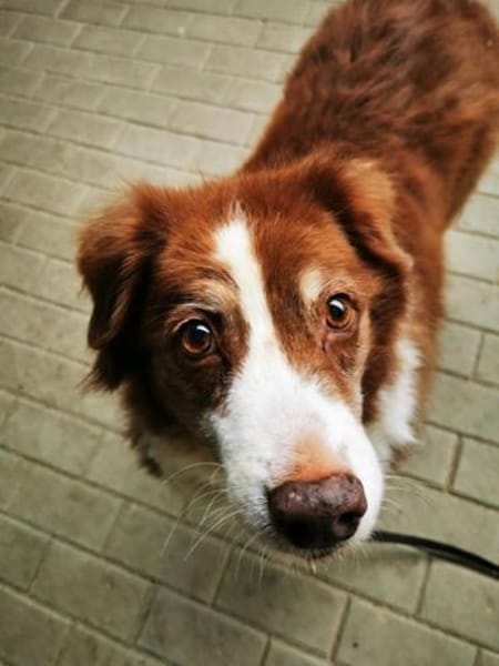 Lilly, traumhaft liebe Seniorin