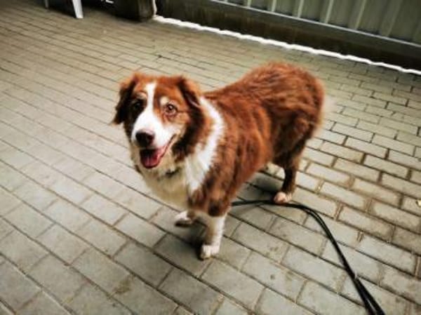 Lilly, traumhaft liebe Seniorin