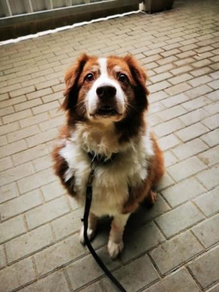 Lilly, traumhaft liebe Seniorin