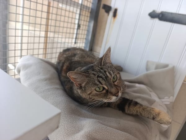 NALA