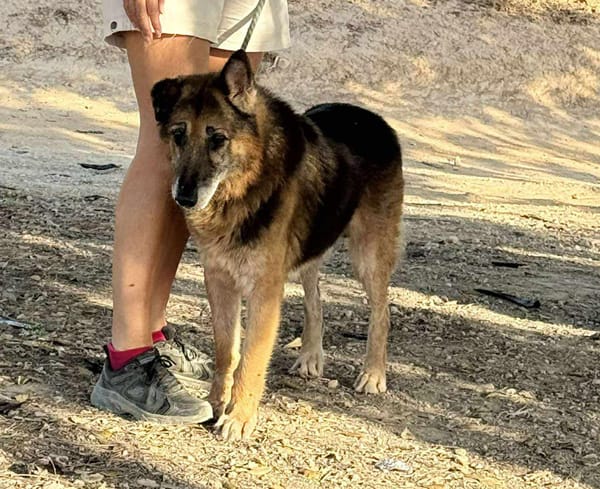 NACHO (Maria)