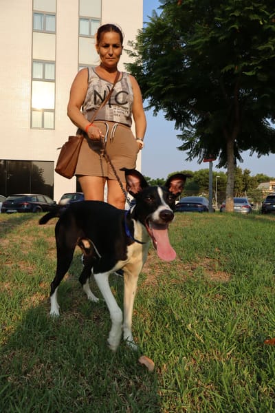 ENZO (Martina)