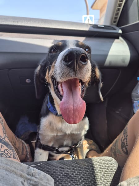 CARLOS (Maria)