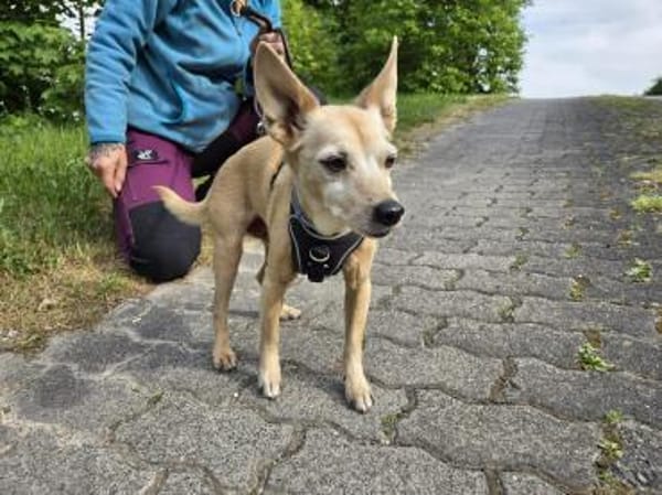 Max