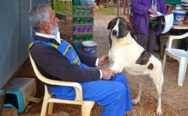 Jasmine - Lady mit toller Ausstrahlung