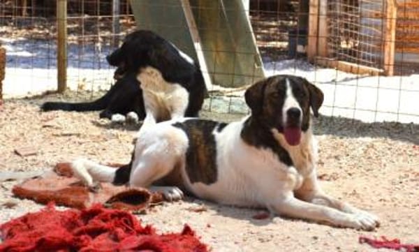 Jasmine - Lady mit toller Ausstrahlung