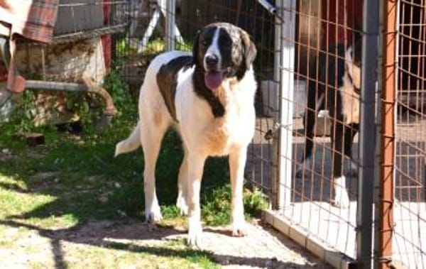 Jasmine - Lady mit toller Ausstrahlung