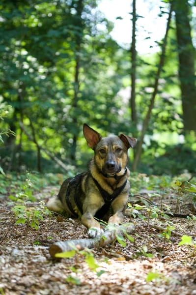 junge, smart Frida sucht ihre Familie