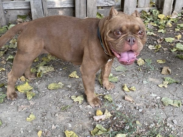 GUCCI (Réservée)