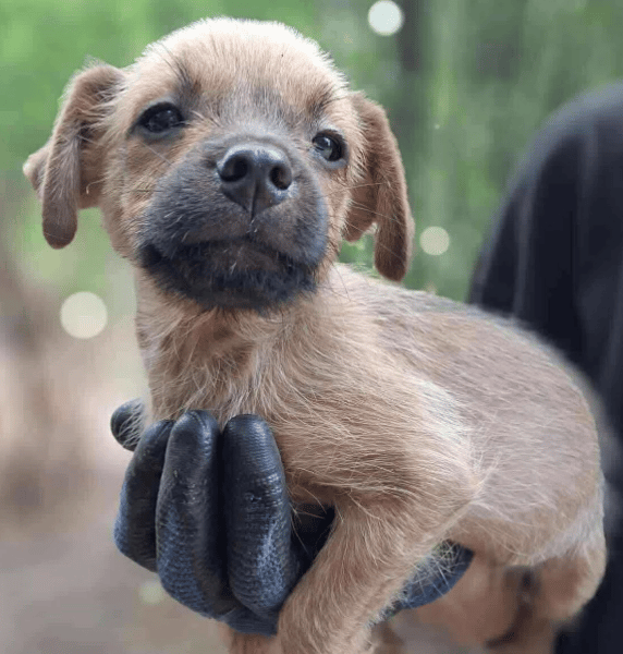 Teeny
