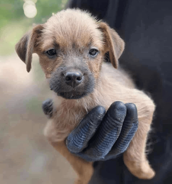 Teeny