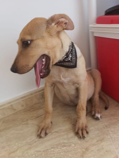 RIGO (Maria)