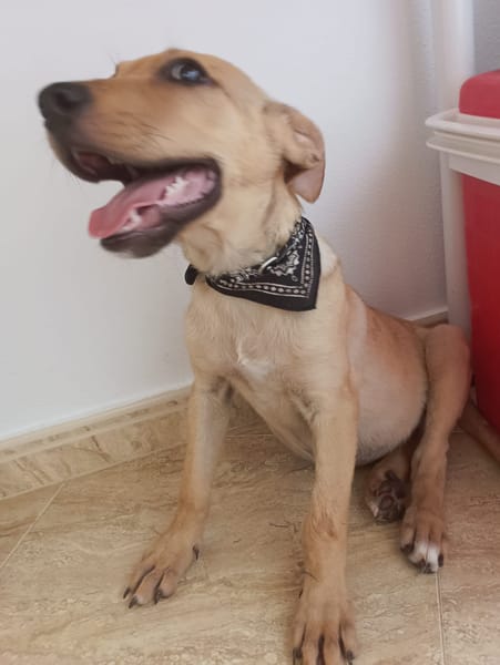 RIGO (Maria)