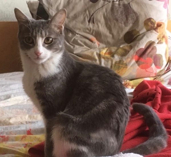 Mélie