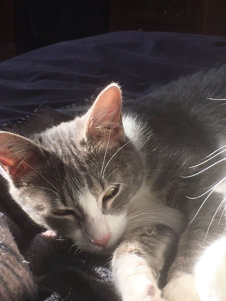 Mélie