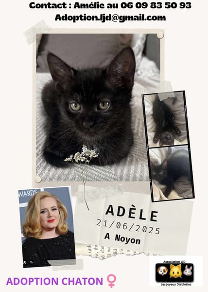 Adele