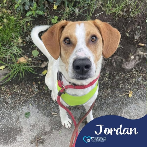 Jordan