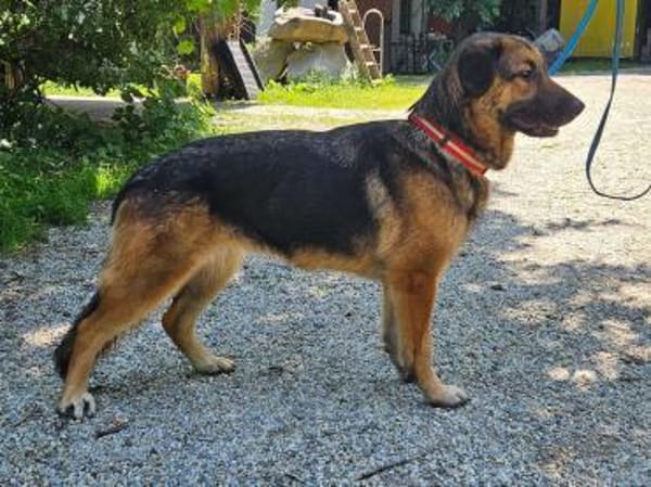 hübsche Mila sucht ihre Familie