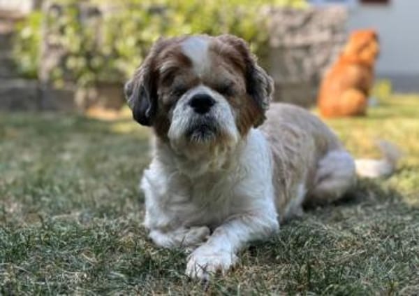 😍 Bella