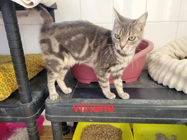 Viviane