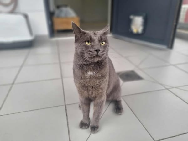 OTIS