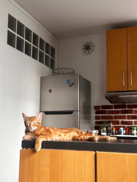 Archibald