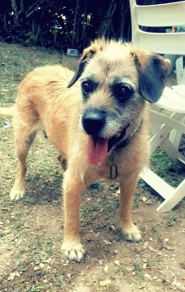 LILA
