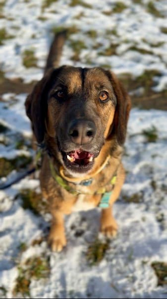 Sam