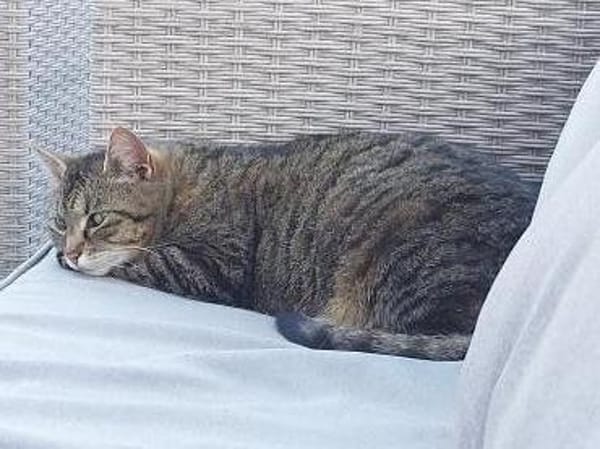liebe Leni in den besten Jahren Rheingau