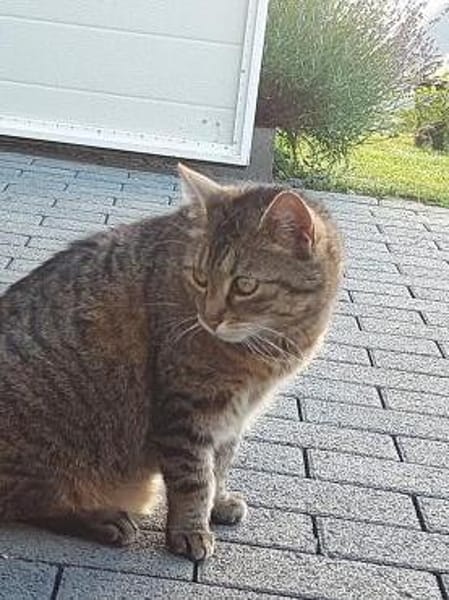 liebe Leni in den besten Jahren Rheingau