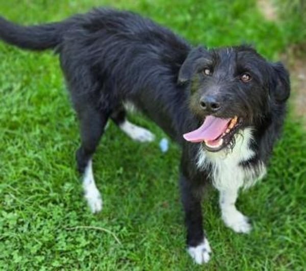 COOPER wartet schon lange