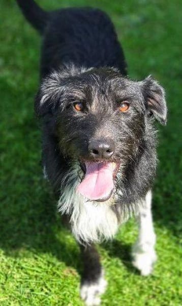 COOPER wartet schon lange