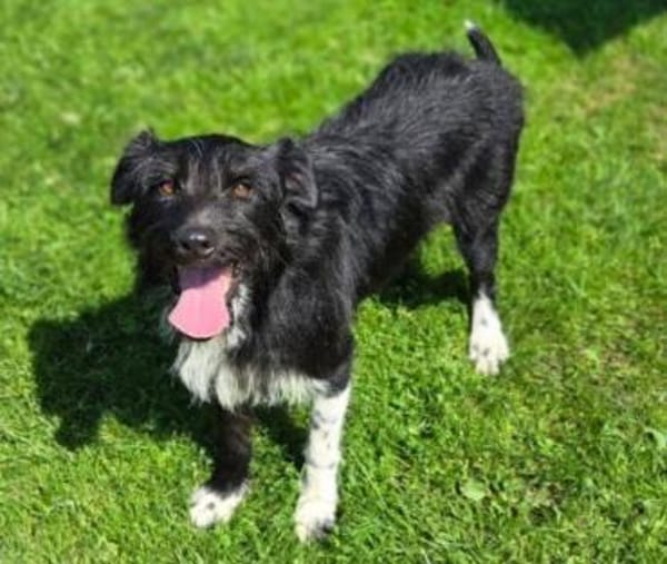COOPER wartet schon lange