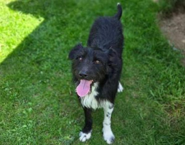 COOPER wartet schon lange