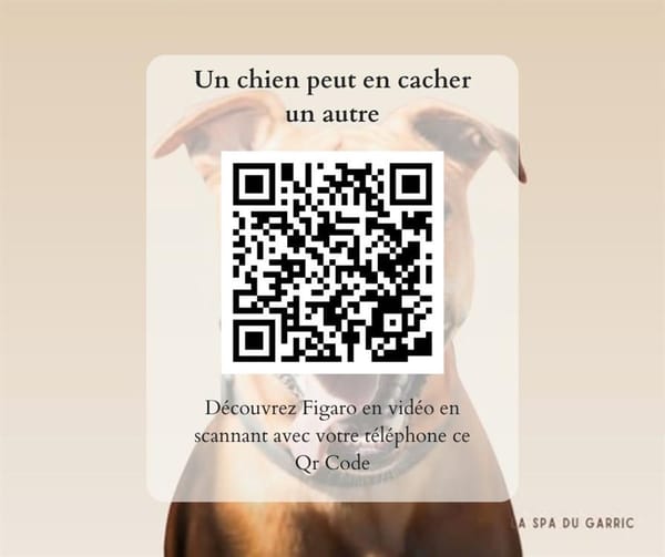 Figaro dit Boule