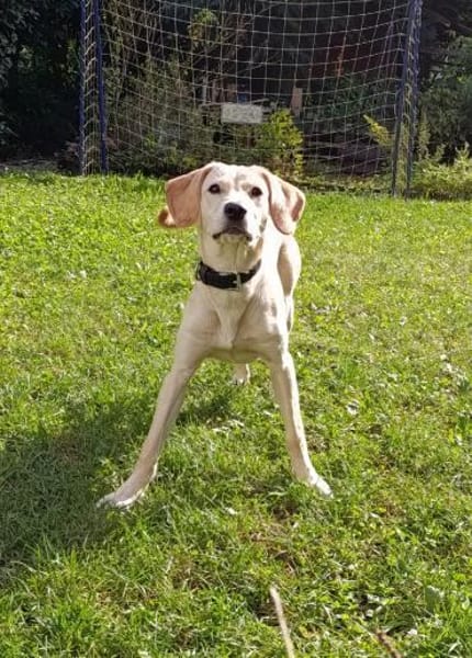❤Daisy...sehr menschenbezogen & sozial