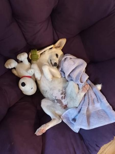 Polly - bereit was zu erleben!