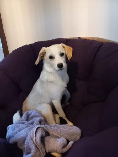 Polly - bereit was zu erleben!