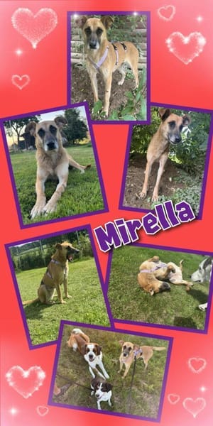 Liebe Mirella wartet auf Besuch!