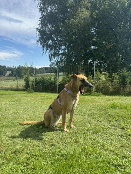 Liebe Mirella wartet auf Besuch!