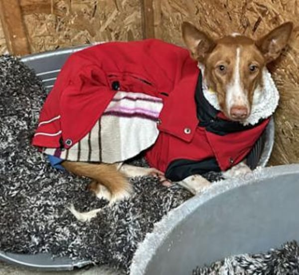 Sally ist ruhig und zurückhaltend