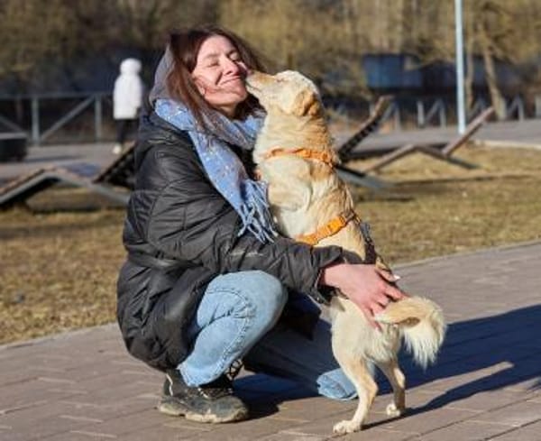 Eshtie, kleiner Pirat sucht seine Heimat