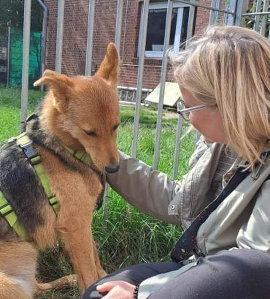 YUKI  Pfiffiges Hasenherz sucht...