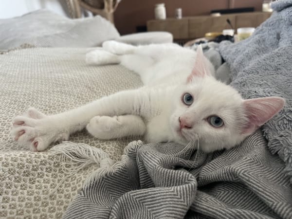 LUCIUS