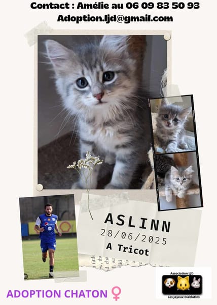Aslinn